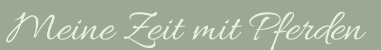 Meine Zeit mit Pferden